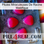 Pilules Miraculeuses De Racine Maléfique 13
